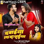 Dawaiya Lada Saiya Karihaiya Gail Muchaki.mp3
