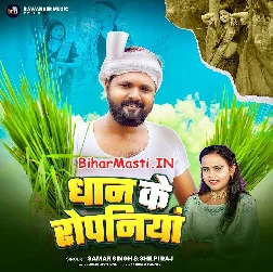 Dhaan Ke Ropaniya Me