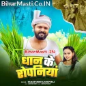 Dhaan Ke Ropaniya Me