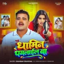 Khojata Vitamin Hamar Dhamin Paglail Ba