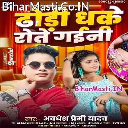 Dhodi Dhake Rote Gaini