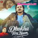 Dhokha Tera Naam