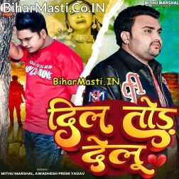 Dil Tod Delu