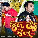 Dil Tod Delu