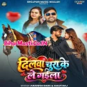 Dilwa Chura Ke Le Gaila Hamara Sina Se