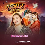 Dilwa Hamar Kailhi Hajaar Tukda.mp3