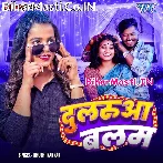 Dularua Balam Badi Seva Karela.mp3