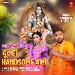Dulha Handsome Chahi (Hit Matter).mp3