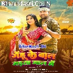 Gehu Ke Baal Raja Gadata Gaal Me.mp3