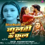 Gulari Ke Phool Ae Saiya Bhaila  .mp3