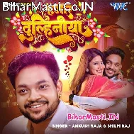 Hamaar Dulhaniya Kamaal Badu Raniya (Hit Matter)