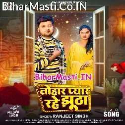 Hamar Turle Badu Dil Kahiyo Taharo Tuti (Sad Song)