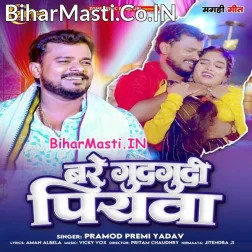 Hamara Bare Gudgudi Ho Piyawa (Hit Matter)