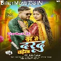 Hamara Raja Ji Ke Sui Se Darad Badhela