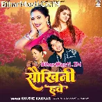 Hamaro Balam Sabse Jada Ho Saukhini Hawe.mp3
