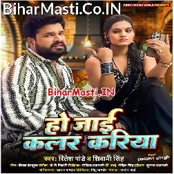 Ho Jaai Color Kariya Saiya Kitchan Me Screen Ke