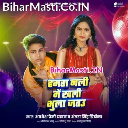 Humra Nali Me Khali Bhula Jatau