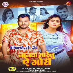 Jaanwa Marelu Ae Gori