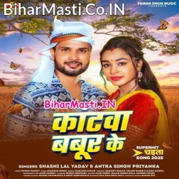 Jaise Katawa Babur Ke