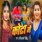 Jhulaniya Bech Piyawa Ke Padhaib Hum Kota Me