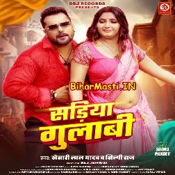Kahe Pahirelu Sariya Gulabi Ae Bhabhi Nabhi Ke Niche