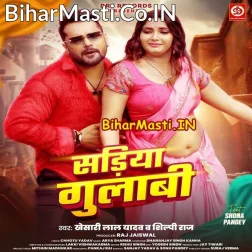 Kahe Pahirelu Sariya Gulabi Ae Bhabhi Nabhi Ke Niche