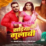 Kahe Pahirelu Sariya Gulabi Ae Bhabhi Nabhi Ke Niche Mp3 Song.mp3