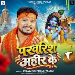Kekar Ha Kareja Lalkari Re Ahir Ke.mp3