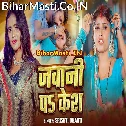 Man Kare Reliye Pa Kai Dihi Kesh Piyawa Gail Pardes