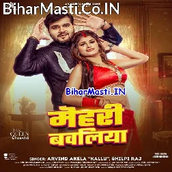 Mehari Bawaliya Hau (Hit Matter)
