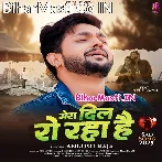 Mera Dil Ro Raha Hai (Sad Song).mp3