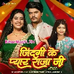 Mere Jindagi Ke Aap Hi Hai Pyar Raja Ji