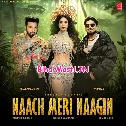 Naach Meri Naagin (Hit Matter)