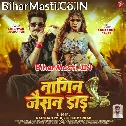 Nagin Jaisan Jab Daar Chhauri Lachkau Tohar