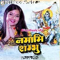 Namami Shambhu