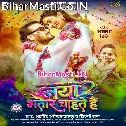 Naya Bhatar Chahate Hai (Hit Matter)