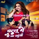 Pallu Me Main Na Rahungi