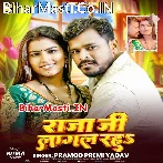 Raja Ji Hamare Lagal Raha.mp3