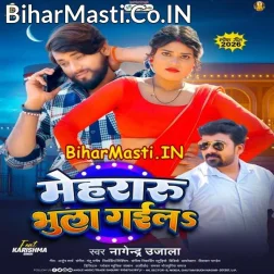 Rajau Paisa Ke Chakar Me Mehraru Bhula Gaila