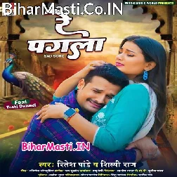 Re Pagali Kaise Suratiya Tor Bhulaib Re (Sad Song)