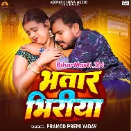 Satab Na Ae Sakhi Bhatar Bhiriya