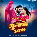 Seva Me Hum Sarkaro Ke Rahab