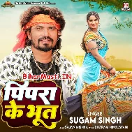 Tohar Pyar Ha Ki Pipra Ke Bhoot Rani Ho Utarat Naikhe