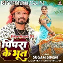 Tohar Pyar Ha Ki Pipra Ke Bhoot Rani Ho Utarat Naikhe