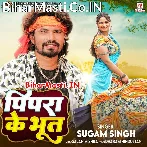 Tohar Pyar Ha Ki Pipra Ke Bhoot Rani Ho Utarat Naikhe.mp3
