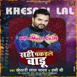 Tohara Pyar Me Khayeb Jharu Rani Sahi Pakadale Badu Mp3 Song
