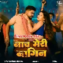 Tu Naach Meri Nagin  