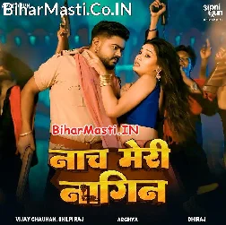 Tu Naach Meri Nagin  