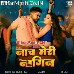 Tu Naach Meri Nagin  .mp3