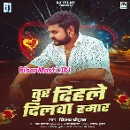 Tur Dihale Dilwa Hamar Re Pagali.mp3